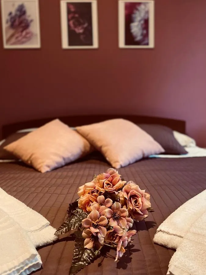 Dreams In Rome - Colosseum Apartment